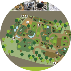 Arche Noah Zoo Braunschweig