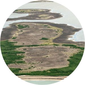 Archipelago Tomorrow