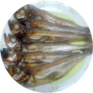 Arctoscopus japonicus - Fish