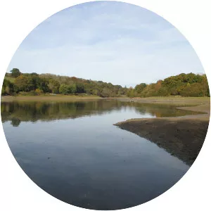 Ardingly Reservoir