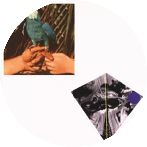 Are You Serious - Studio album by Andrew Bird