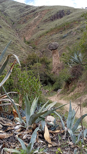 AREA TURISTICA PUIHUAN DE YANAYACU - Tourist attraction in Huanuco, Peru