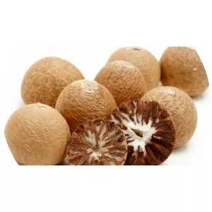 Areca nut photograph