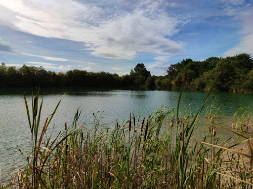 Areeiras da Limia - Bird watching area in Spain