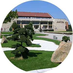 Arena Antonio Alexe - 