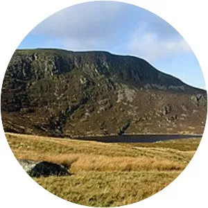 Arenig Fach