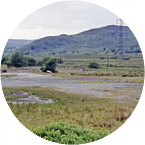 Arenig railway station - 