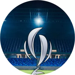 Argentina Supercup SoccerSince 2019