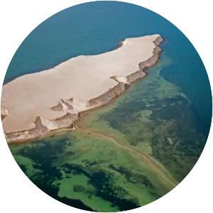 Arguin - Island in Mauritania