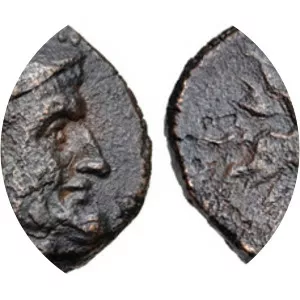 Ariaramnes photograph