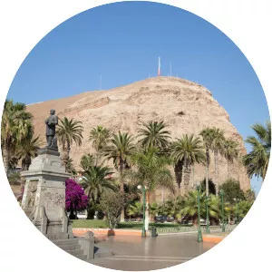 Arica