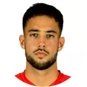 Aris Nikolaos Halling Vaporakis