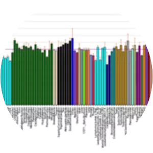 Aristaless related homeobox - Protein