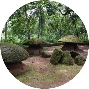 Ariyannur Umbrellas - 