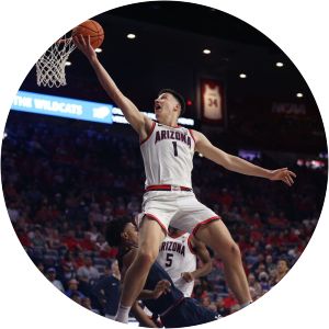 Arizona Wildcats men's basketball - Basketball team