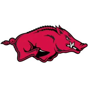 Arkansas Razorbacks photograph