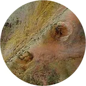 Arkenu structures - Impact crater in Libya