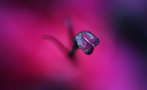 Arkitektkopia - Print shop in Sweden