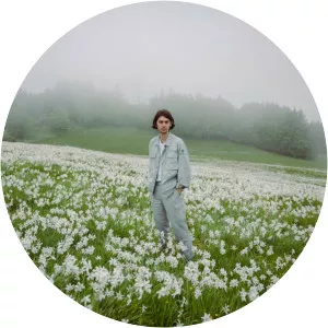 Armand Bultheel - Musical artist