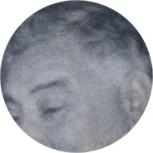 Armando Holzapfel Álvarez