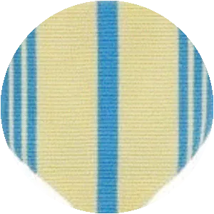 Armed Forces Reserve Medal