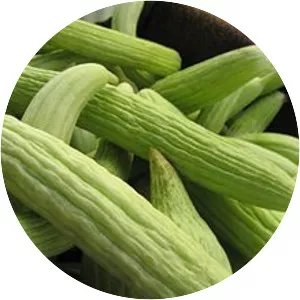 Armenian cucumber