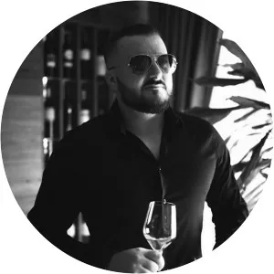 Armin Bijedić - Musical artist