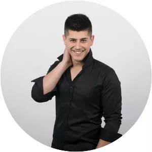 Armin Dedic - Musical artist