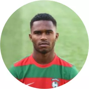 Armindo Rodrigues Mendes Furtado