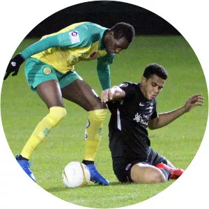 Arnaldo Paulo Fernandes Mendes