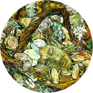 Arnaldo Roche Rabell