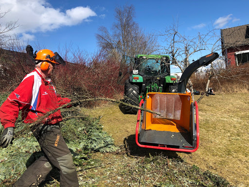 Arne Trefeller - Trefelling Nesodden