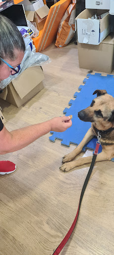 Arnican - Veterinarian in Lugo, Spain