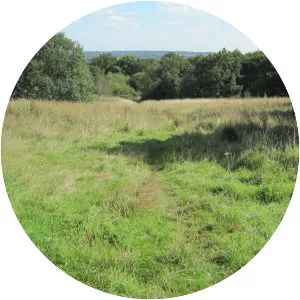 Arrandene Open Space and Featherstone Hill - 