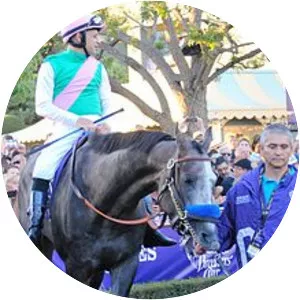 Arrogate
