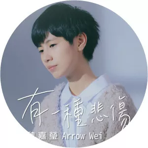 Arrow Wei