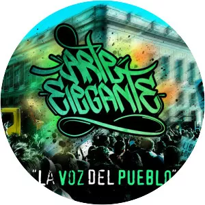 Arte Elegante - Musical artist