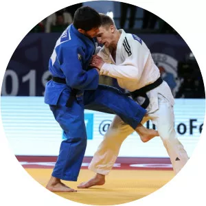 Artem Lesiuk - Ukrainian judoka