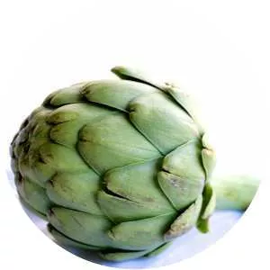 Artichokes