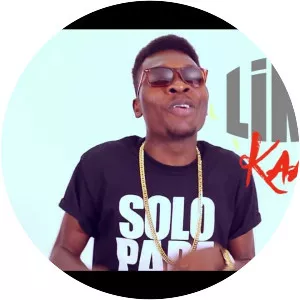 Article Wan - Musician