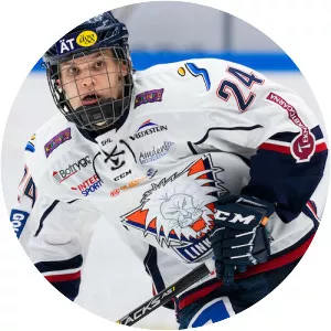 Arvid Costmar - Swedish ice hockey player