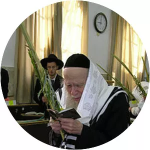 Aryeh Finkel