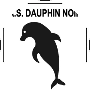 AS Dauphins Noirs - Football club