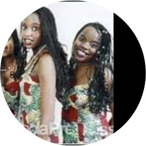 As Gingas - Musical artist