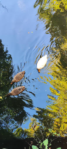 Asagi Cavus Koyu Mosque - Religious institution in Yenice