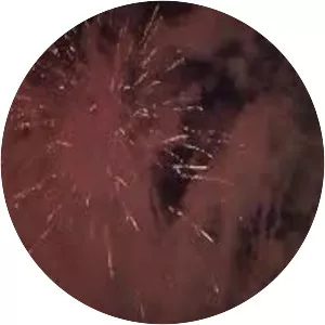 Asbury Park Boardwalk