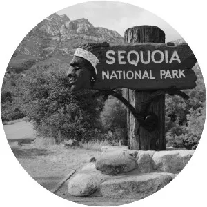 Ash Mountain Entrance Sign - 