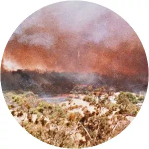 Ash Wednesday bushfires - 
