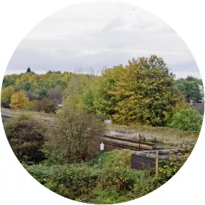 Ashley Hill railway station - 