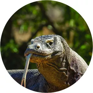 Asia's Wild SecretsSince 2021